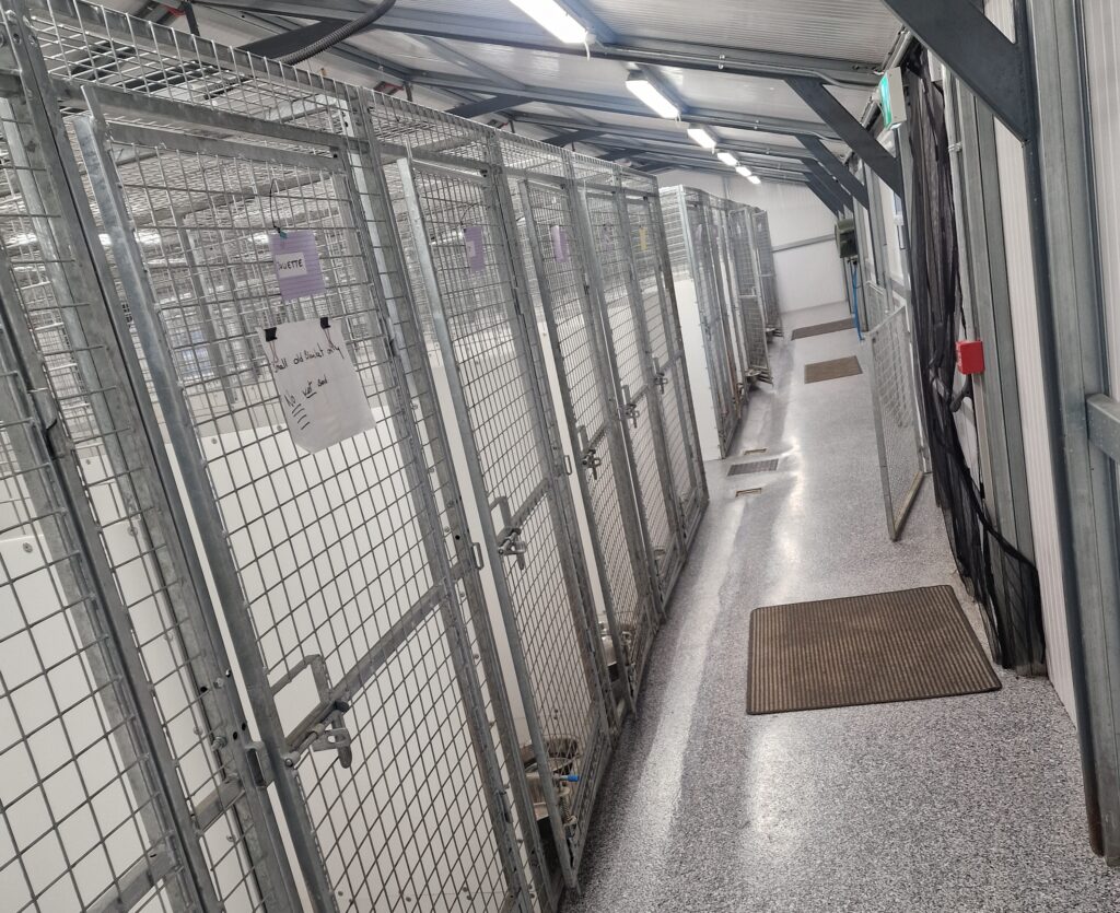 3Q Recruitment Dogs Aid Dog Kennels