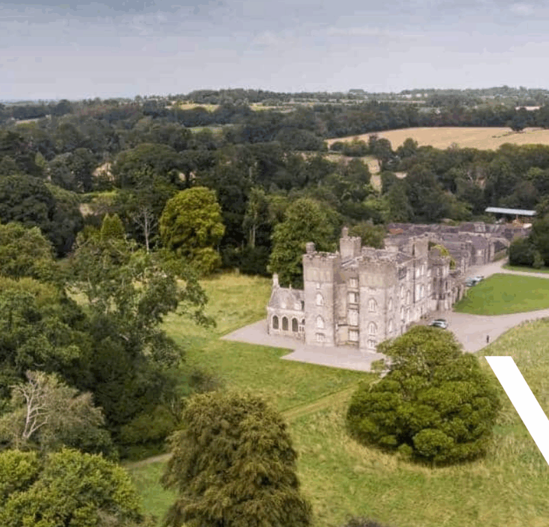 Irish Trees - 3Q Recruitment - Dunsany Castle